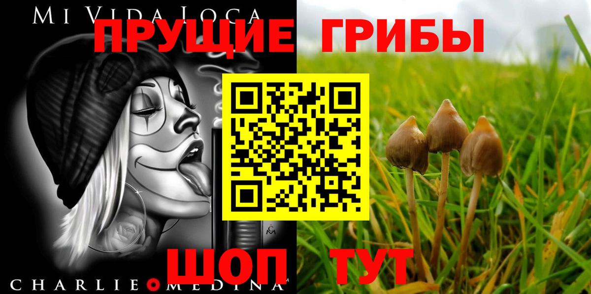 Галлюциногенные грибы GOLDEN TEACHER Октябрьский
